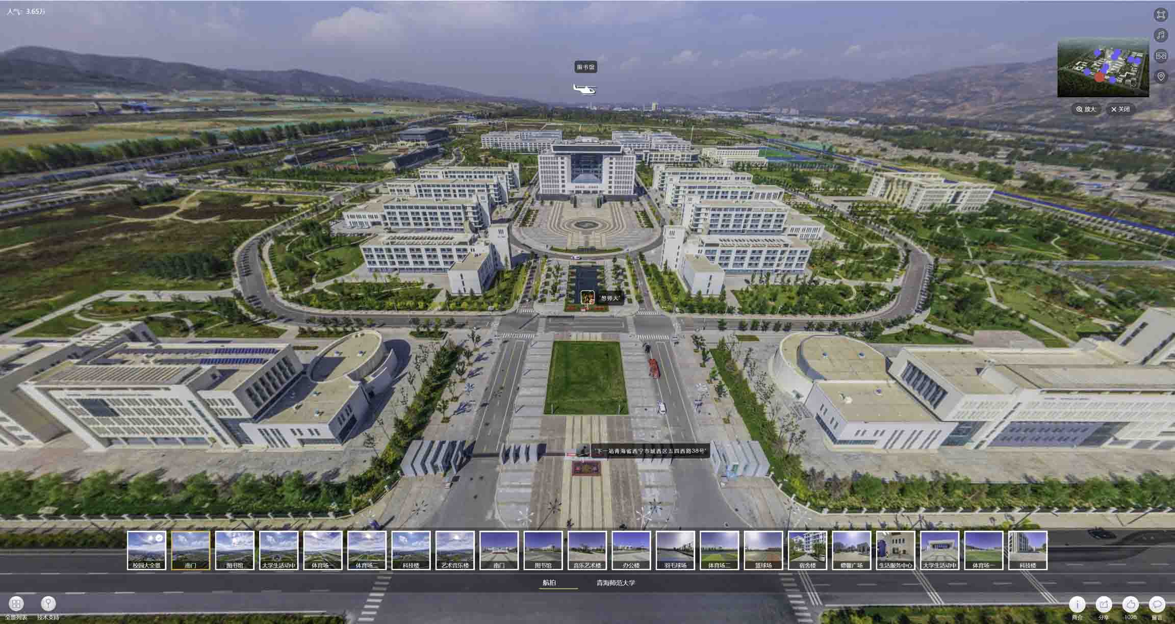 定边油菜花-惊艳半生的花海仙境